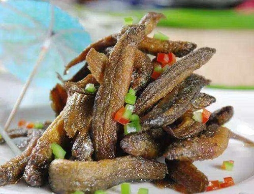 泥鰍養(yǎng)殖需要注意的事項(xiàng)？